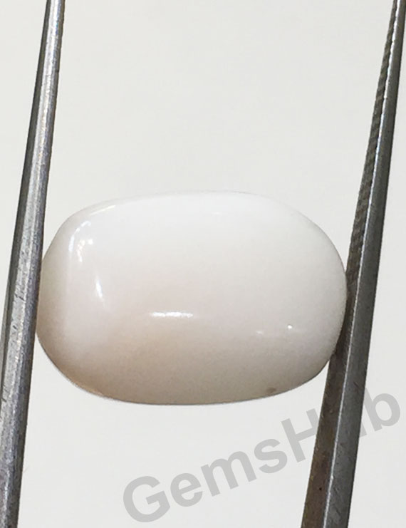 9.19 ct Natural Certified  White Coral/सफ़ेद मूंगा
